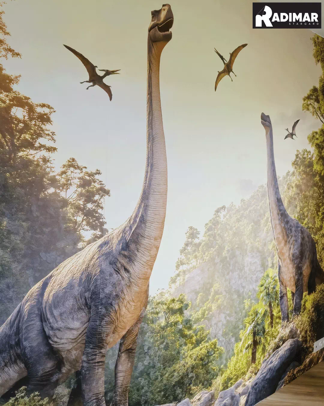 tapeta dinozaury galeria